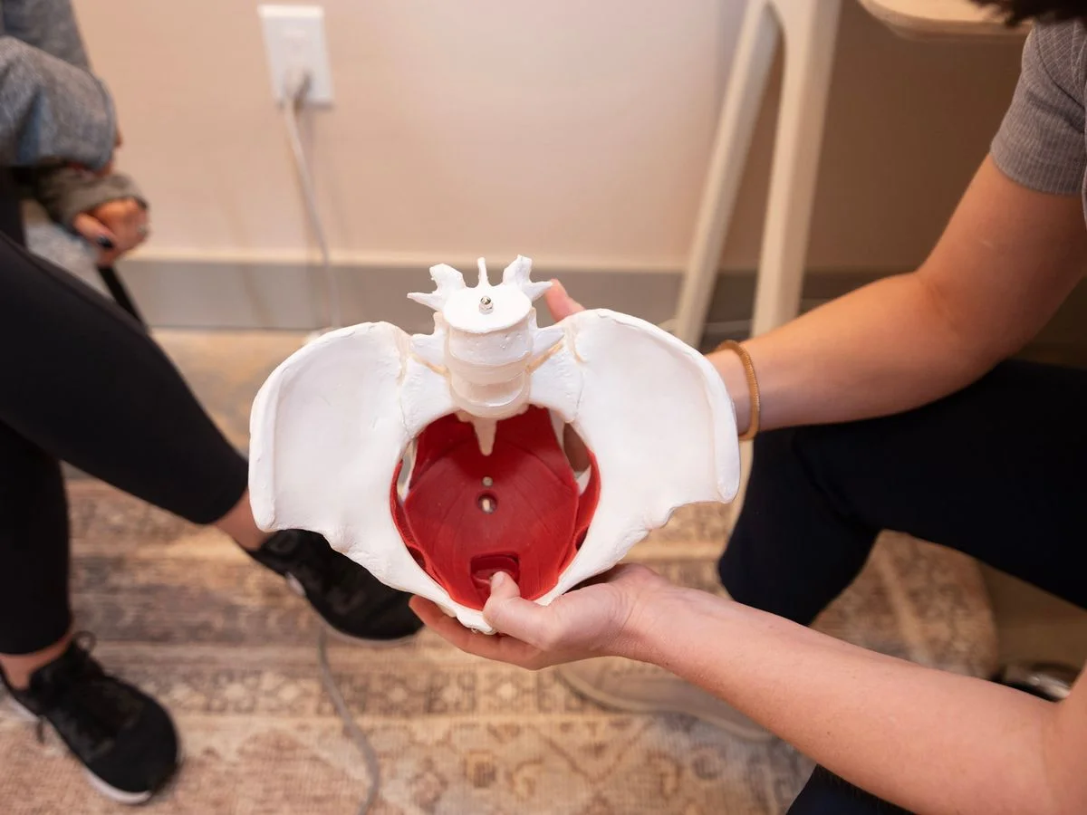 Pelvic Organ Prolapse